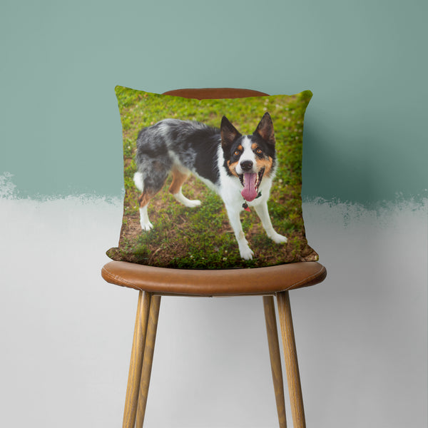 Personalized and customized pet pillows