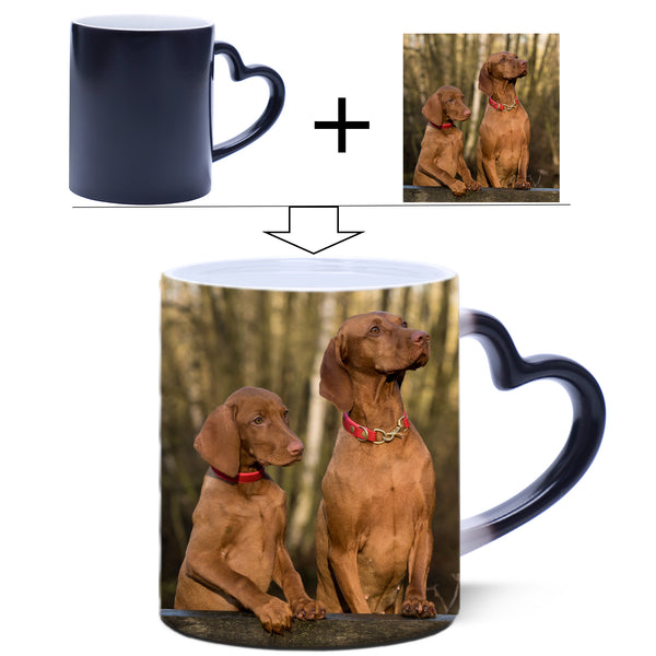 Personalized custom pet temperature changing color changing cup