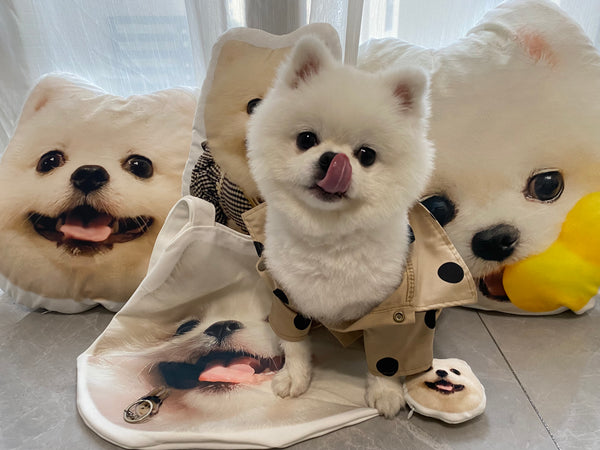 Pet shaped pillow, customized according to pictures